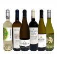  当店 極 厳選 白ワイン wine 好きならこのセット set 格別の美味しさ 華やかな上質白ワイン wine を存分に味わう贅沢白ワイン wine 6本セット set 