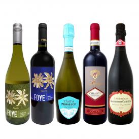  1本796円 税別 お手頃 お買い得 当店人気ワイン wine 5本集結 オススメワイン wine ばかりのお試し赤白泡5本セット set 