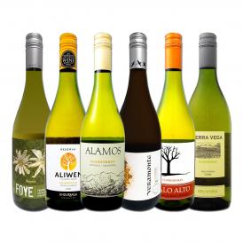 デイリー・シャルドネ chardonnay の決定版 向上目覚しいチリ・アルゼンチンのシャルドネ chardonnay ６本セット set 