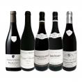  厳選ブルゴーニュ bourgogne 赤ワイン wine 5本セット set 