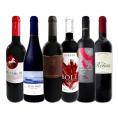  スペイン Spain 全土の地ワイン wine 満喫 スペイン Spain おうちバル赤ワイン wine 6本セット set 