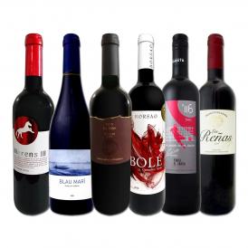  スペイン Spain 全土の地ワイン wine 満喫 スペイン Spain おうちバル赤ワイン wine 6本セット set 