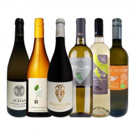 白ワイン wine セット set 第165弾 採算度外視の謝恩企画 当店厳選 特大感謝の大満足白ワイン wine 6本セット set ワイン wine セット set 金賞ワイン wine 飲 