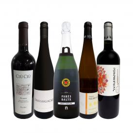  独自輸入 瓶内二次発酵スパークリング sparkling 入り 世界のオーガニックワイン wine 5本セット set 