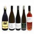   全部当店独自輸入 いまどき・ドイツワイン wine 5本セット set 