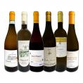  充実感たっぷりのイタリア Italy 白ワイン wine 6本セット set 