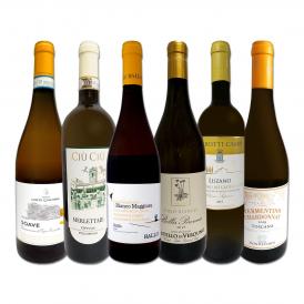  充実感たっぷりのイタリア Italy 白ワイン wine 6本セット set 