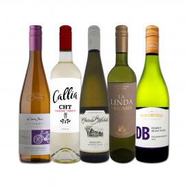  超お買い得 アロマたっぷりの白ワイン wine ５本セット set 