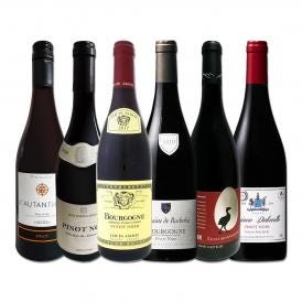  激得ブルゴーニュ bourgogne ＆南仏 フレンチ・ピノ・ノワール6本セット set 