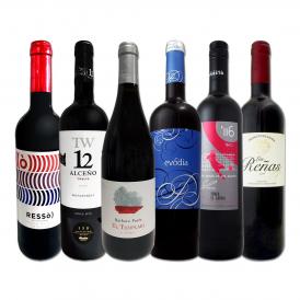  スペイン Spain 全土の地ワイン wine 満喫 スペイン Spain おうちバル赤ワイン wine 6本セット set 
