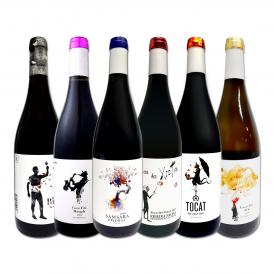  凄腕コカ・イ・フィト兄弟のスタイリッシュなスペイン Spain ワイン wine 6本セット set 