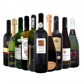  第11弾 34％OFF 必見ベストセラーバラエティ 当店代表する人気一押しワイン wine ばかりを集めた渾身の赤白泡スペシャルパーティー10本セット set 