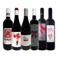  スペイン Spain 全土の地ワイン wine 満喫 スペイン Spain おうちバル赤ワイン wine 6本セット set 