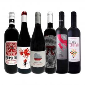  スペイン Spain 全土の地ワイン wine 満喫 スペイン Spain おうちバル赤ワイン wine 6本セット set 