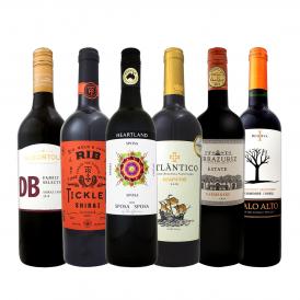  肉料理にバッチリ 世界各国から肉料理にあう濃厚赤ワイン wine ６本セット set 