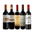  肉料理にばっちり ボルドー bordeaux 人が今も愛する南米カルメネール＆マルベック厳選5本セット set 