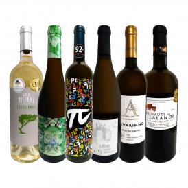  第2弾 当店 極 厳選 白ワイン wine 好きならこのセット set 格別の美味しさ 華やかな上質白ワイン wine を存分に味わう贅沢白ワイン wine 6本セット set 