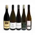   全部当店独自輸入 いまどき・ドイツワイン wine 5本セット set 