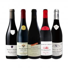 厳選ブルゴーニュ bourgogne 赤ワイン wine 5本セット set 