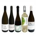  当店独自輸入 オーガニック認証付き 辛口白ワイン wine 5本セット set 