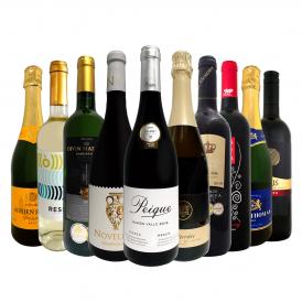  第13弾 39％OFF 必見ベストセラーバラエティ 当店代表する人気一押しワイン wine ばかりを集めた渾身の赤白泡スペシャルパーティー10本セット set 