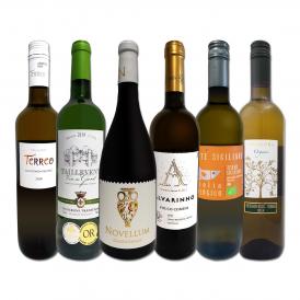 白ワイン wine セット set 第170弾 採算度外視の謝恩企画 当店厳選 特大感謝の大満足白ワイン wine 6本セット set ワイン wine セット set 金賞ワイン wine 飲 