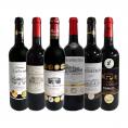 赤ワイン wine セット set 第214弾 全て金賞受賞 史上最強級 キング・オブ・金メダル 極旨ボルドー bordeaux 赤ワイン wine 6本セット set ワイン wine セット 