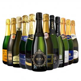 スパークリング sparkling ワイン wine セット set 第45弾 選び抜いたハイクオリティ泡ばかり12本 辛口スパークリング sparkling ワイン wine セット set ワイ 