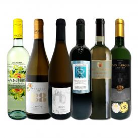 白ワイン wine セット set 第162弾 当店厳選 これぞ極旨辛口白ワイン wine 白ワイン wine を存分に楽しむ 味わい深いスーパー・セレクト白 750ml 6本セット set