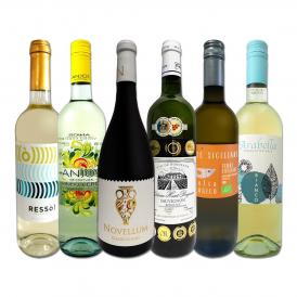 白ワイン wine セット set 第171弾 採算度外視の謝恩企画 当店厳選 特大感謝の大満足白ワイン wine 6本セット set ワイン wine セット set 金賞ワイン wine 飲 