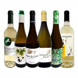  目からウロコ スペイン Spain 白ワイン wine の いま は超激旨 スペイン Spain おうちバル白ワイン wine 6本セット set 