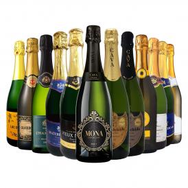 スパークリング sparkling ワイン wine セット set 第46弾 選び抜いたハイクオリティ泡ばかり12本 辛口スパークリング sparkling ワイン wine セット set ワイ 
