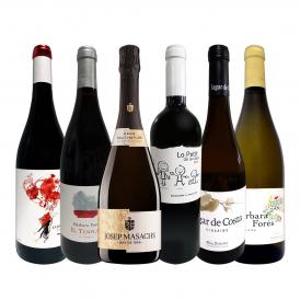  華麗なる新時代スペイン Spain ワイン wine 6本セット set 