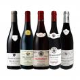  厳選ブルゴーニュ bourgogne 赤ワイン wine 5本セット set 