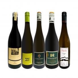   全部当店独自輸入 いまどき・ドイツワイン wine 5本セット set 