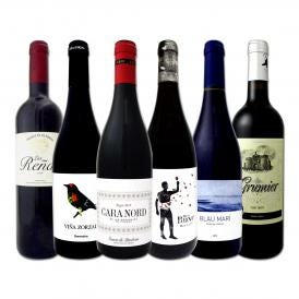  スペイン Spain 全土の地ワイン wine 満喫 スペイン Spain おうちバル赤ワイン wine 6本セット set 