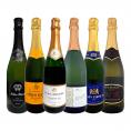 スパークリング sparkling ワイン wine セット set 第168弾 ベスト・オブ・スパーク 当店厳選 高級クレマン clement も入った極旨泡ばかりの辛口スパークリング