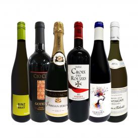  圧倒的リッチ ワイン wine 好き必見 とにかく飲んでみて下さい 限界価格の上級ワイン wine だけを集めた贅沢なる高級ワイン wine 6本 