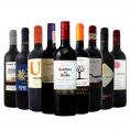  今や輸入量ナンバーワンに輝くチリ 厳選赤ワイン wine ９本セット set 