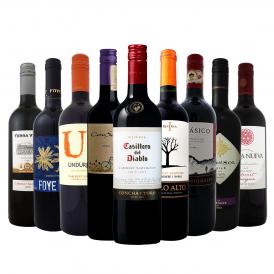  今や輸入量ナンバーワンに輝くチリ 厳選赤ワイン wine ９本セット set 