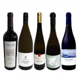  独自輸入 グラン・クリュ入り 欧州・オーガニックワイン wine 赤白5本セット set 