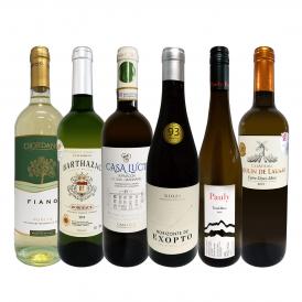  第4弾 当店 極 厳選 白ワイン wine 好きならこのセット set 格別の美味しさ 華やかな上質白ワイン wine を存分に味わう贅沢白ワイン wine 6本セット set 