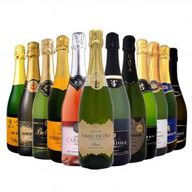 スパークリング sparkling ワイン wine セット set 第48弾 選び抜いたハイクオリティ泡ばかり12本 辛口スパークリング sparkling ワイン wine セット set ワイ 