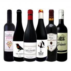 スペイン Spain 全土の地ワイン wine 満喫 スペイン Spain おうちバル赤ワイン wine 6本セット set 