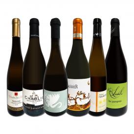  特大感謝の厳選フランス France 白ワイン wine 大放出6本セット set 