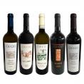  大人気イタリア Italy ン チウ・チウ 激旨5本セット set 