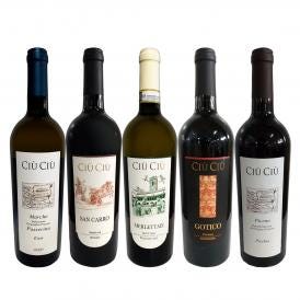  大人気イタリア Italy ン チウ・チウ 激旨5本セット set 