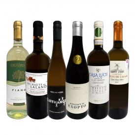  第5弾 当店 極 厳選 白ワイン wine 好きならこのセット set 格別の美味しさ 華やかな上質白ワイン wine を存分に味わう贅沢白ワイン wine 6本セット set 
