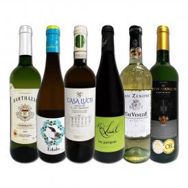 白ワイン wine セット set 第166弾 当店厳選 これぞ極旨辛口白ワイン wine 白ワイン wine を存分に楽しむ 味わい深いスーパー・セレクト白 750ml 6本セット set
