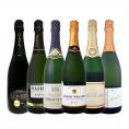 ぜんぶ瓶内2次発酵の伝統製法 1本わずか1280円 税込 でこの上質泡 ケタ違いの旨さ これぞ格上 高級スパークリング sparkling 6本セット set 